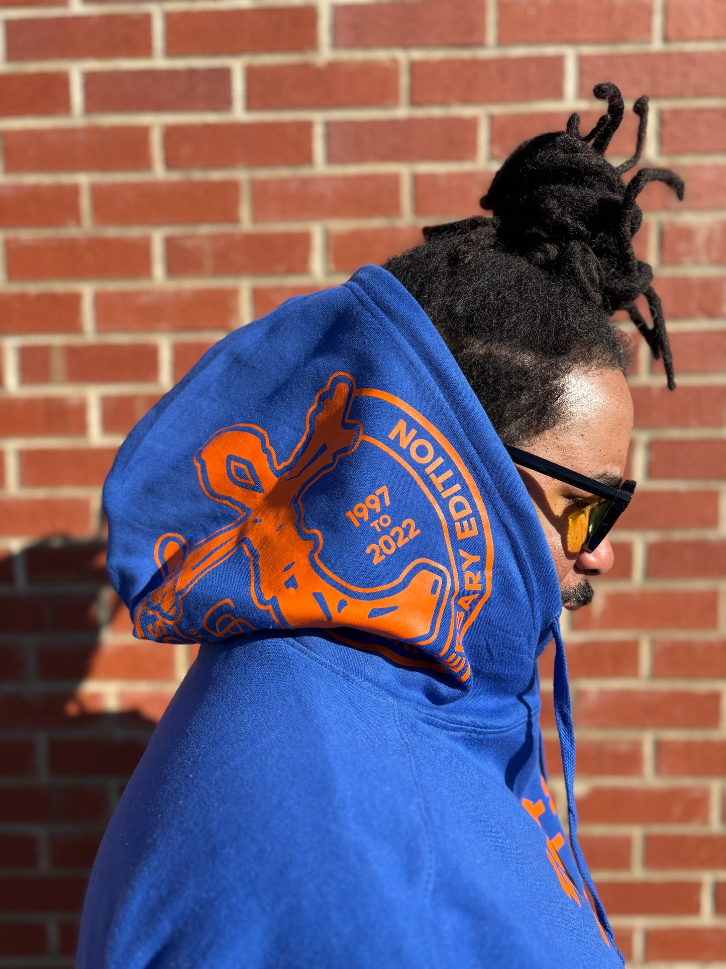 B. Scienz Of Life NYK Color Way Hoodie