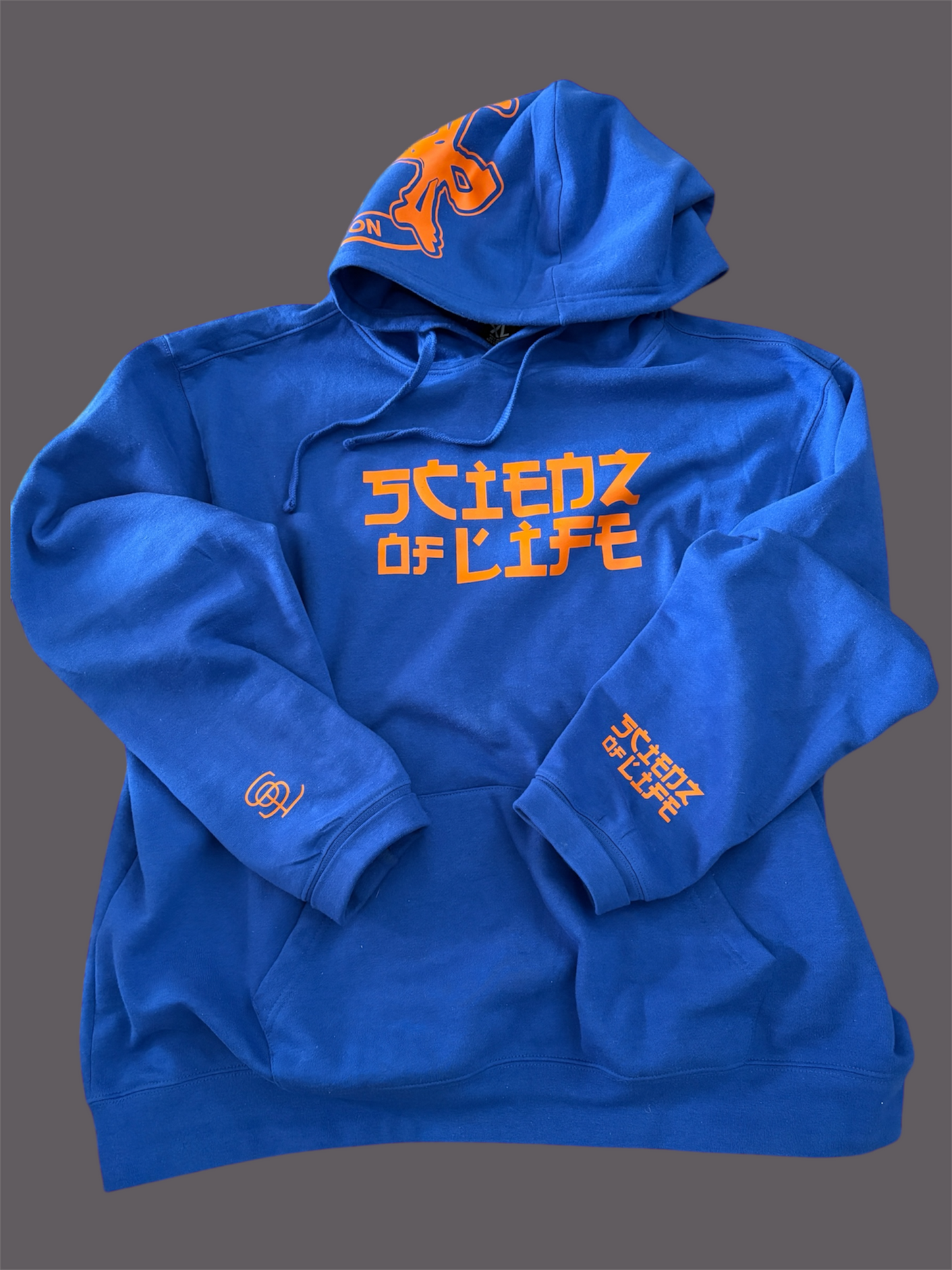 B. Scienz Of Life NYK Color Way Hoodie